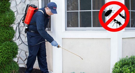 Eşrefpaşa Kene İlaçlama böcek ilaçlama ve haşere kontrolü — ilaclama-tr.com